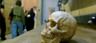 Photograph of Yorick's Skull on a desk at LAMDA